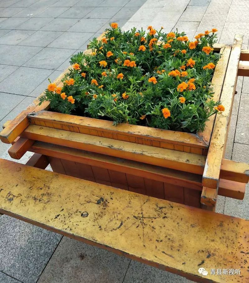 <html>
<head><title>502BadGateway</title></head>
<body>
<center><h1>502BadGateway</h1></center>
<hr><center>nginx</center>
</body>
</html>
<!--apaddingtodisableMSIEandChromefriendlyerrorpage-->
<!--apaddingtodisableMSIEandChromefriendlyerrorpage-->
<!--apaddingtodisableMSIEandChromefriendlyerrorpage-->
<!--apaddingtodisableMSIEandChromefriendlyerrorpage-->
<!--apaddingtodisableMSIEandChromefriendlyerrorpage-->
<!--apaddingtodisableMSIEandChromefriendlyerrorpage-->
