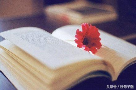 qq经典空间说说大全带图片,qq空间说说带图片短句