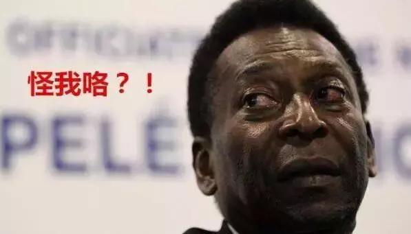 世界杯保罗章鱼,章鱼保罗预测世界杯