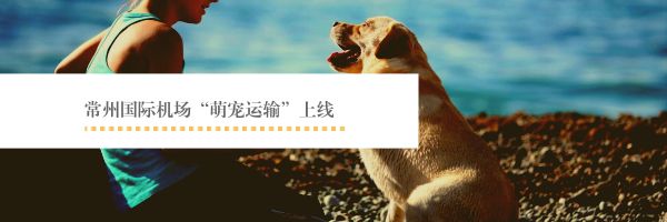 出远门再也不用担心“毛孩子”啦！在常州机场，宠物们也能坐飞机了~