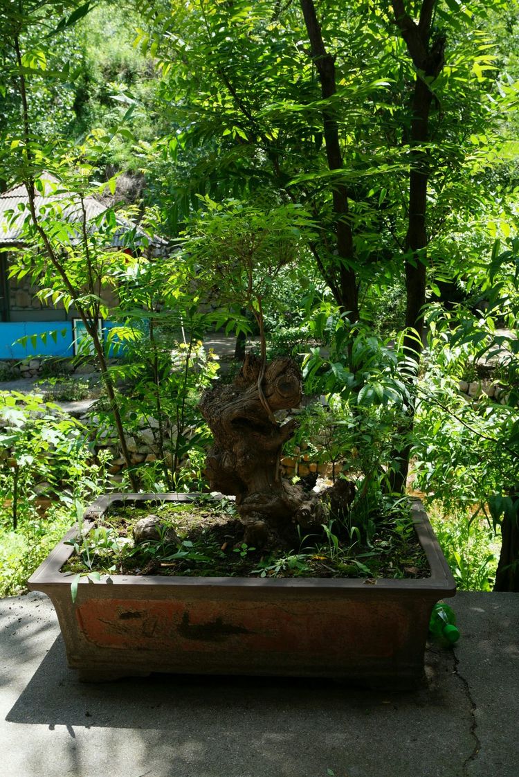 天晴湾风景区,淄川天晴湾