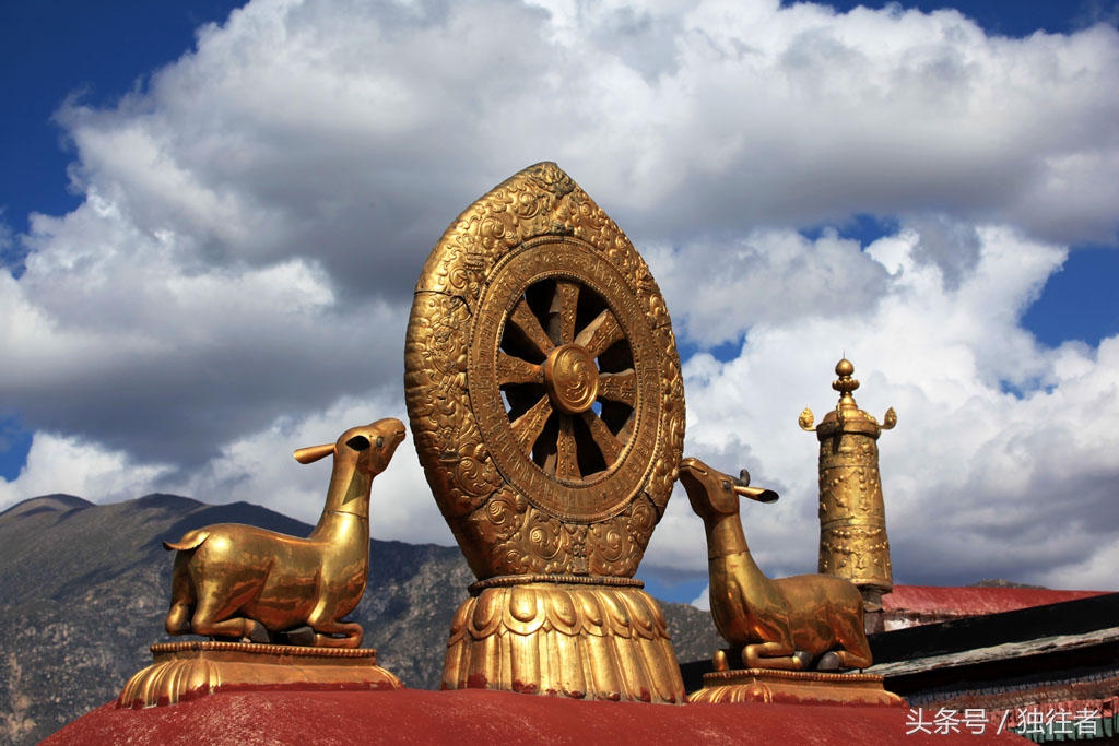 山羊金鹿车轮与千年藏传佛教圣地大昭寺有着怎样的关系