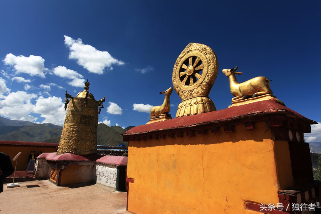 山羊金鹿车轮与千年藏传佛教圣地大昭寺有着怎样的关系