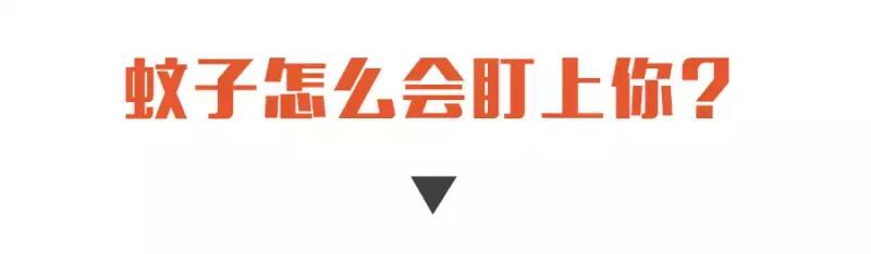 防止蚊子咬最好的方法,终于知道为什么容易被蚊子咬了