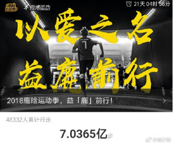 鹿晗有多爱芦苇,鹿晗有多爱猫