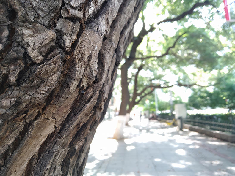 红米6p深度评测,红米6plus手机测评