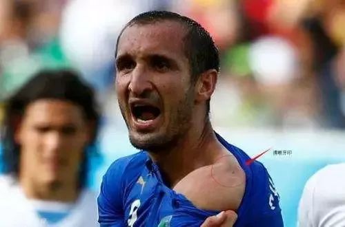 为什么世界杯需要那么多球场,为什么世界杯要选在晚上