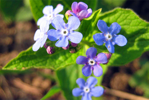 爱情伤感高级句子,爱情文案扎心句子伤感