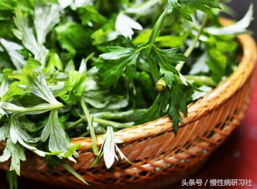 清香的艾草还有这么多神奇功效？赶紧收藏！