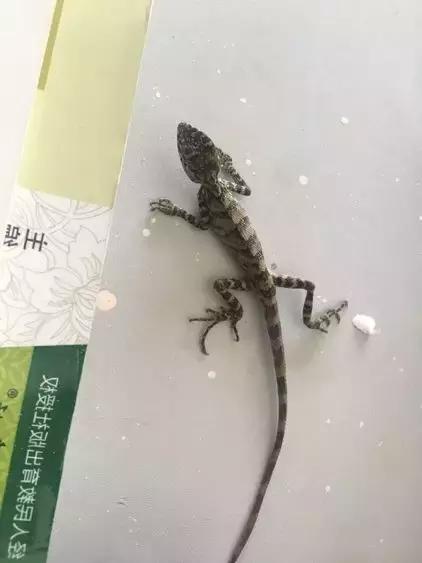 以快乐之名，让孩子们看到未来的一千种可能