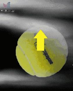 俄罗斯世界杯经典说说,俄罗斯世界杯点评