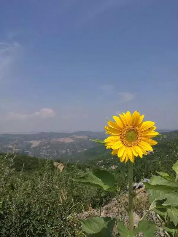 醉美临汾城,临汾最值得一看的地方