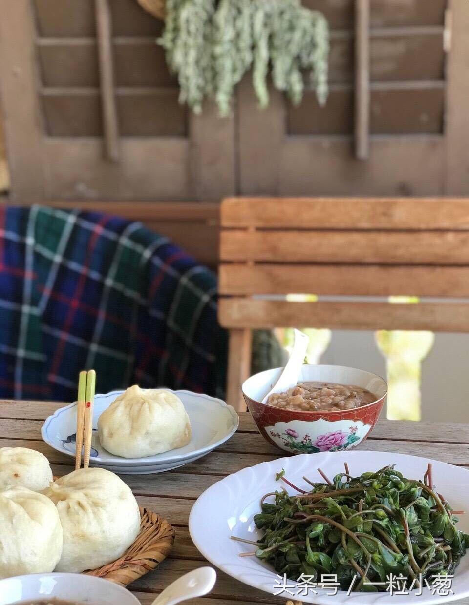 马齿苋随处可见的野菜你了解它吗,野菜马齿苋最经典食用方法