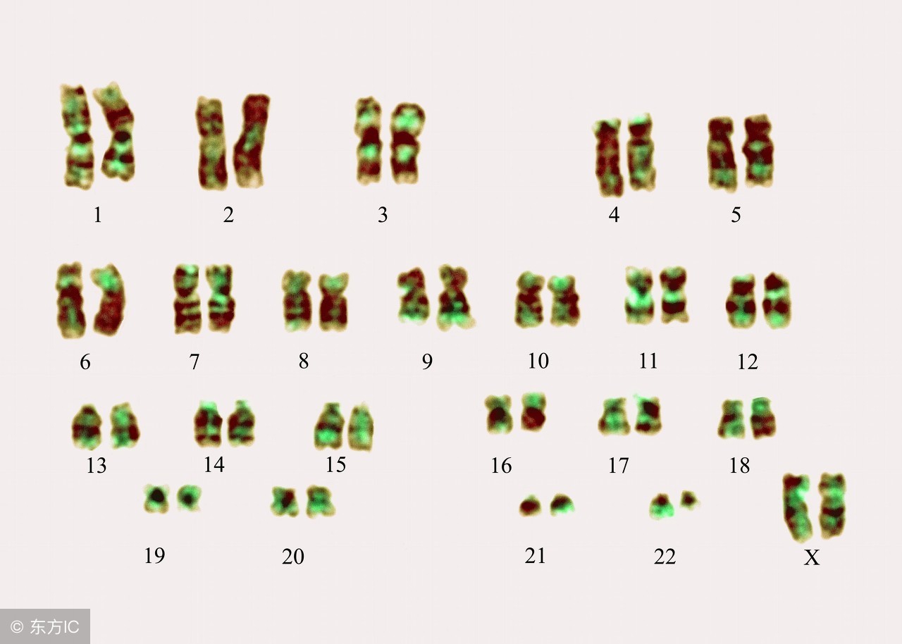 无创dna检测与唐氏筛查有区别吗,无创dna检测可以确诊唐氏吗