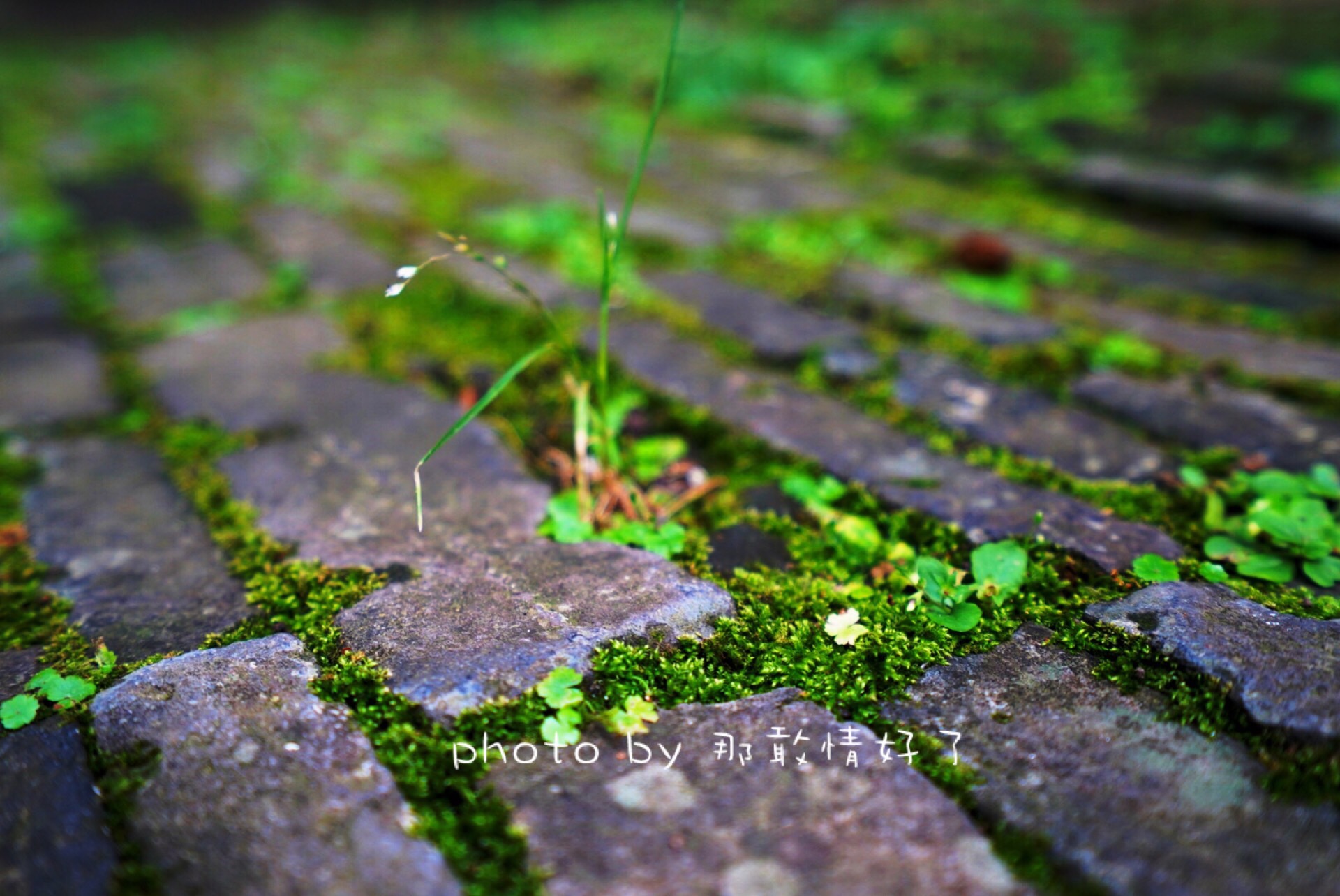 春节滁州小众景区游,滁州人文古城旅游攻略