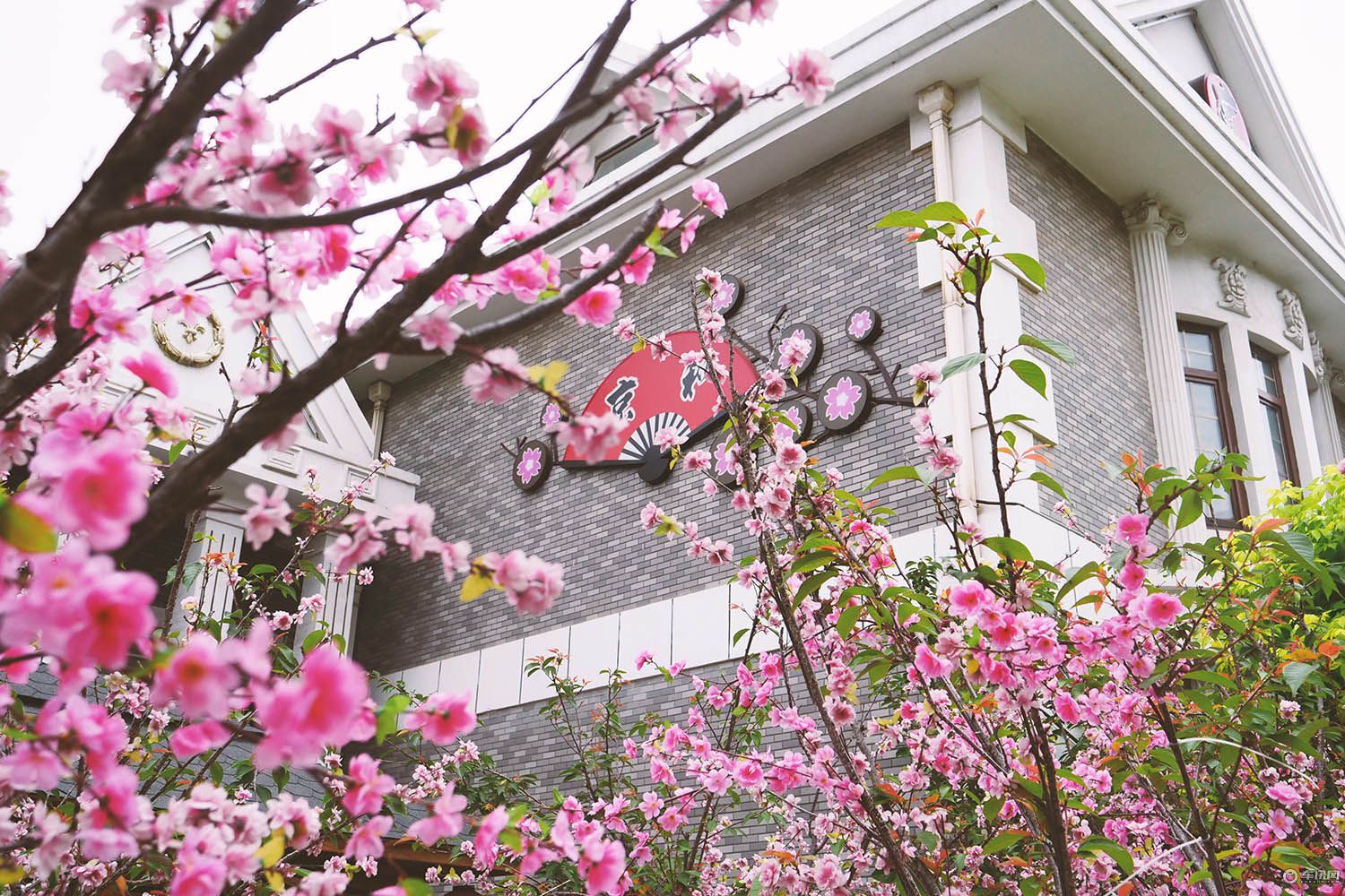 特斯拉modelx自驾游,特斯拉长续航modelx自驾海南