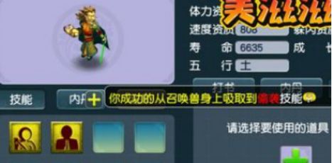 吸附石是你的不二首选,吸附石的诀窍