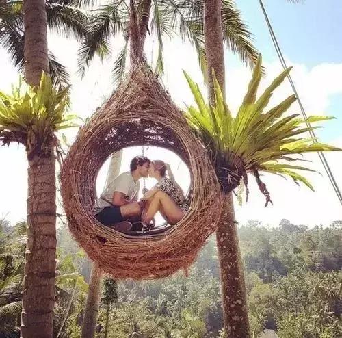 火爆ins的网红酒店,最近很火的网红酒店