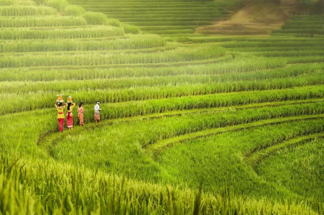 上半年大片,上半年大片推荐