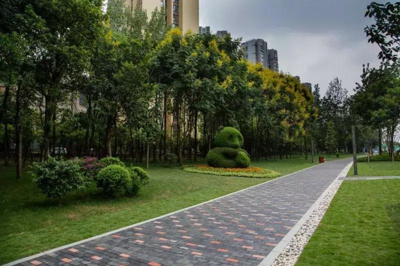 天府本色｜连雨不知春去，一晴方觉夏深