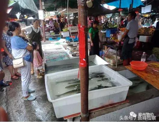 曝光！柳州这些菜市场缺斤短两变相涨价，看看有没有你常去的