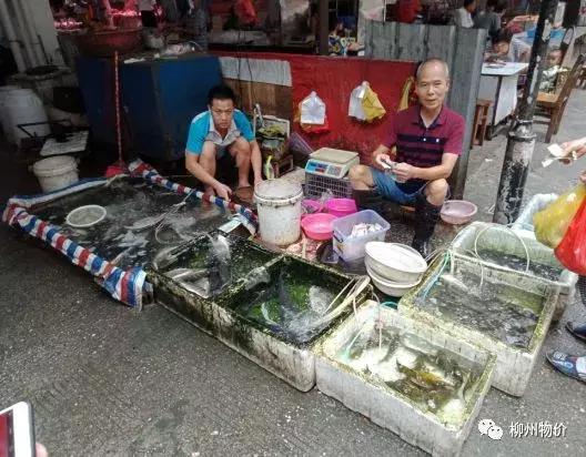 曝光无良商家缺斤短两违法吗,市场商贩缺斤少两被曝光