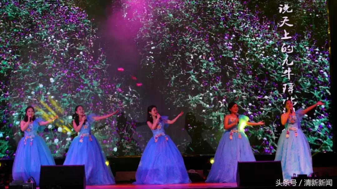 清新四中文艺汇演,精品文艺展演