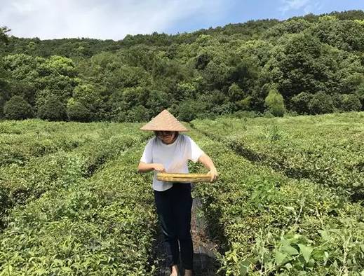 农村农业种植业哪种能赚钱,2021年十大农业赚钱模式盘点