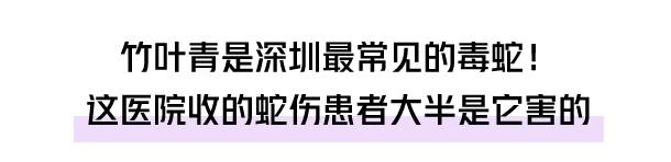 自己家的别墅里会有蛇吗,自家别墅花园有蛇什么原因