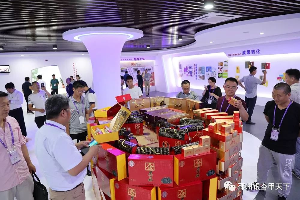 今天，人民网聚焦邳州：小蒜头撬动百亿级大产业