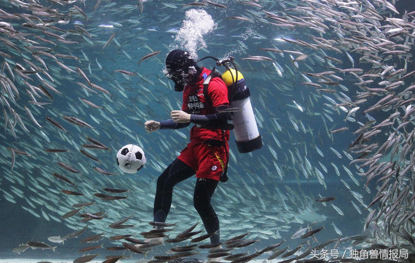 2018年世界杯32强国际排名,2018世界杯32强各个球队身价排名