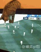 千万不要赌球搞笑版,千万不要赌球的危害