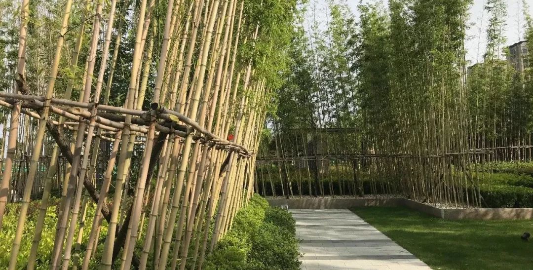 卢俊接受采访,卢俊的全部视频