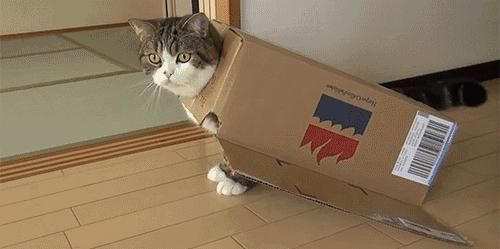 他用废纸箱做钱包，居然卖到600元，MUJI都叫好！