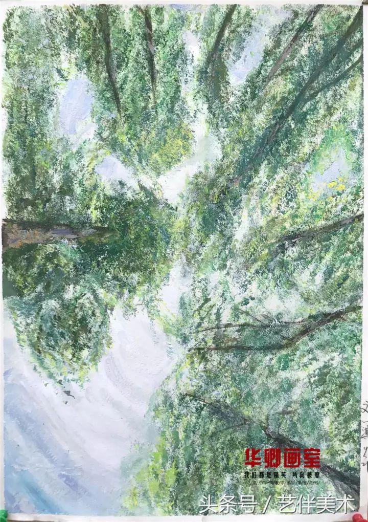 华卿画室北京高考集训多少钱,北京华卿画室优惠团购