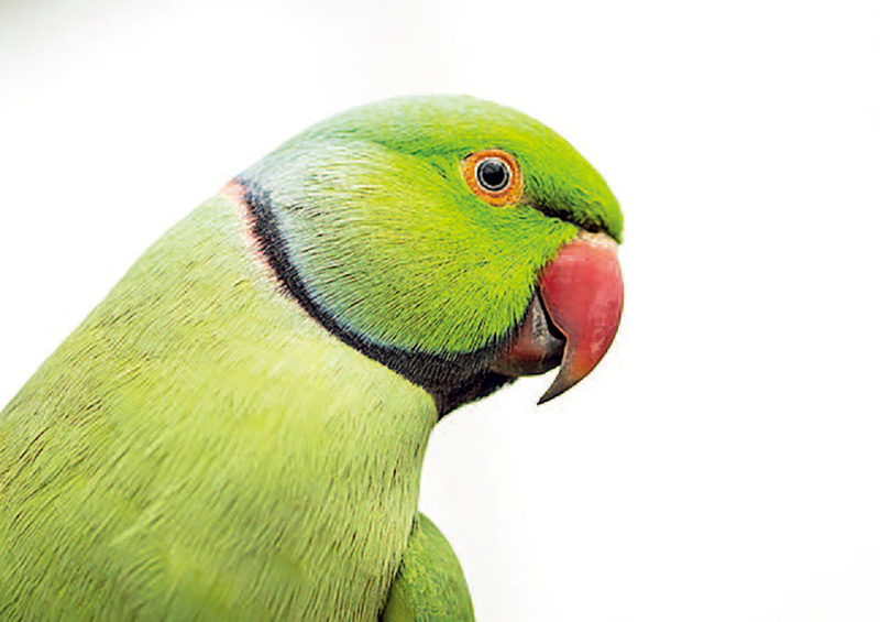 单反相机快速入门,单反相机入门购买