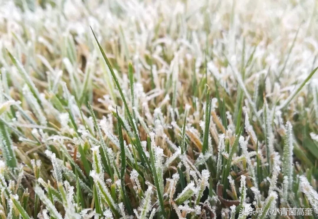 美丽的云南师范大学,美丽的云南曲靖