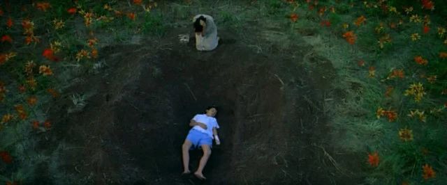 张震林嘉欣电影叫什么,张震大s林嘉欣主演的恐怖片