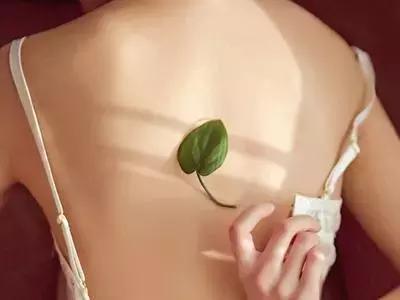 怎么告别虎背熊腰,拒绝虎背熊腰训练