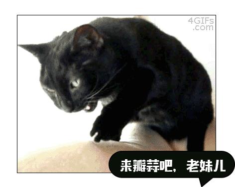 和女朋友接吻口臭怎么办,女朋友口臭还口苦怎么办