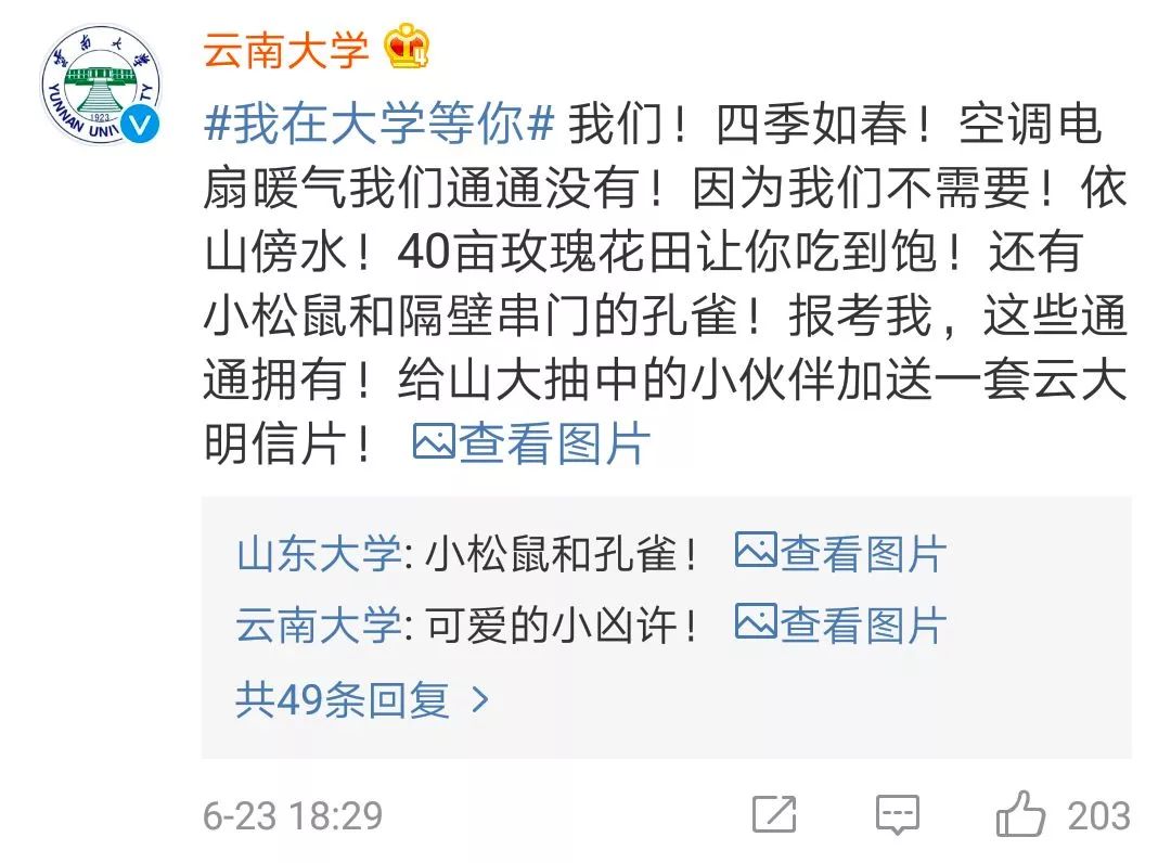 高校招生抢人大战,高校抢人大战视频