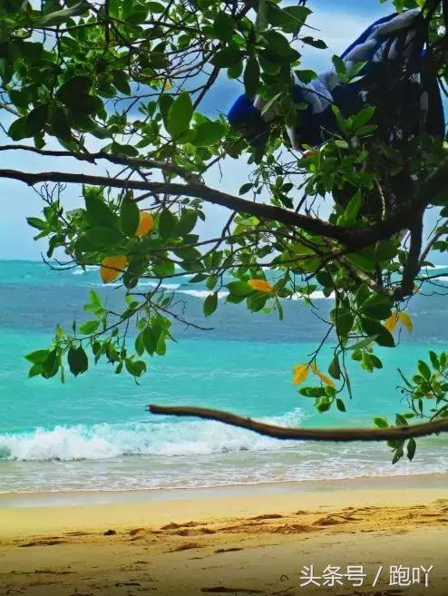 单次世界杯进球最多的国家,世界杯单场进球最多的国家