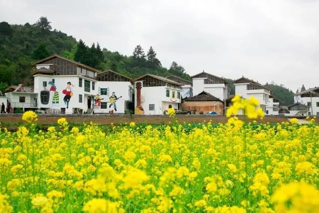 麻雀变凤凰台湾,麻雀变凤凰台湾版