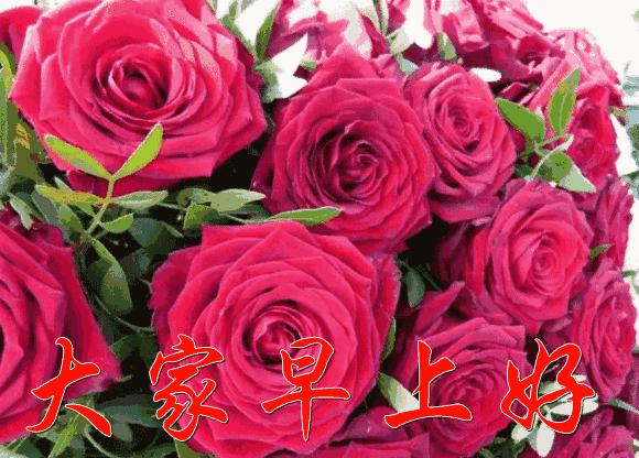 早上好微信动态表情图片大全,早上好微信动态表情精美图片大全