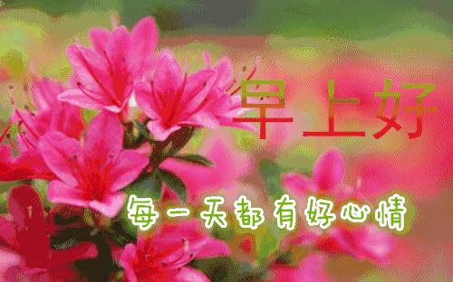 微信朋友圈早上好表情图片大全,早上好微信动态表情精美图片大全