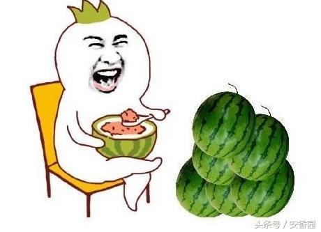 世界杯最冷门知识科普,世界杯知识科普列举