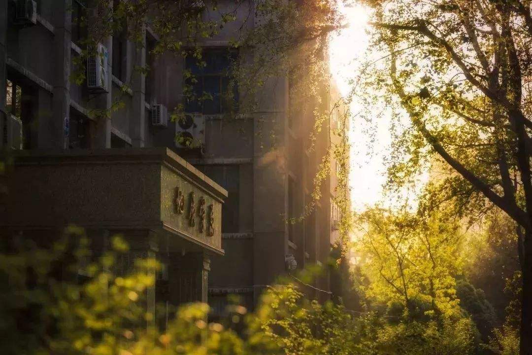 改变不了环境就得适应环境演讲稿,改变环境不如改变自己的演讲稿