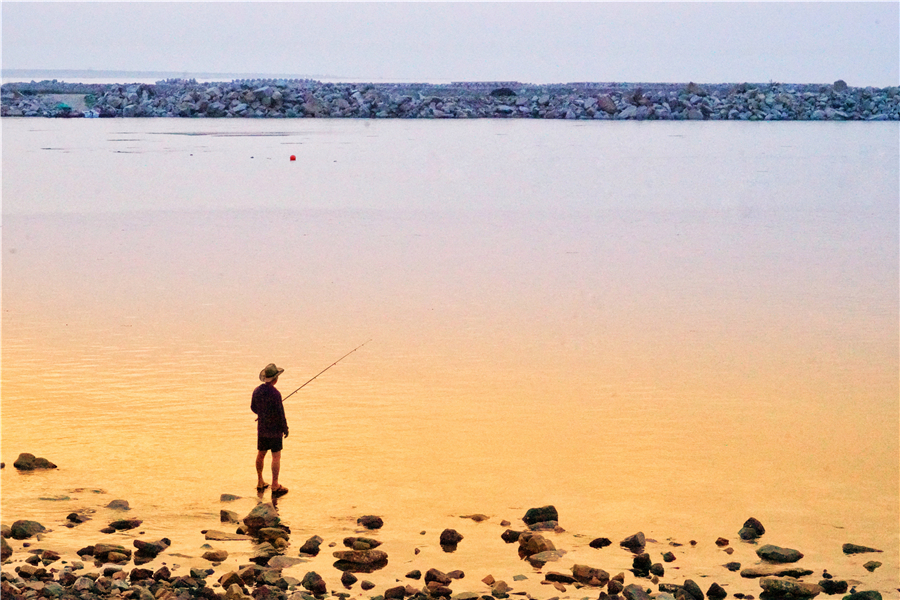 渤海湾沿岸最好的避暑胜地,东海湾避暑景点