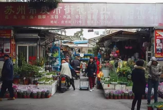 苏州最大的花鸟市场新搬在哪里,苏州花鸟市场营业时间