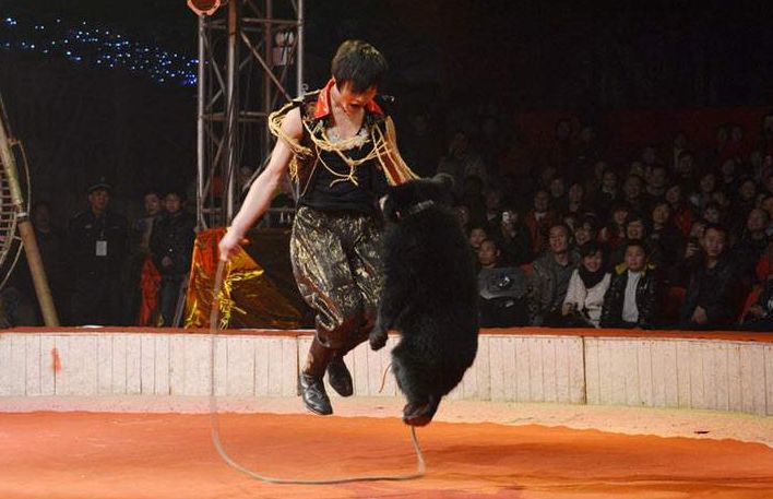 十堰市周末去哪儿玩免费的,夏季十堰去哪玩